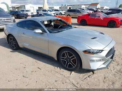 FORD MUSTANG 2019