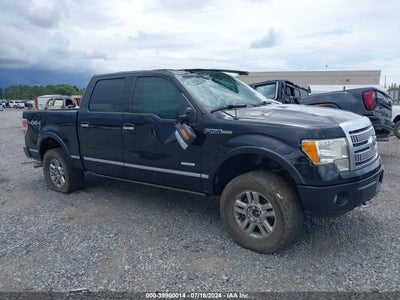 PLATINUM F-150 2012