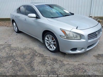 NISSAN MAXIMA 2010