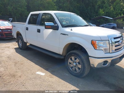 FORD F-150 2010