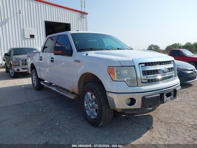 FORD F-150 2014