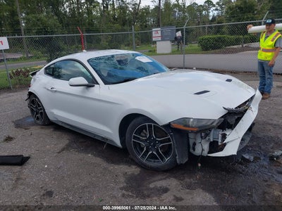 MUSTANG MUSTANG 2022
