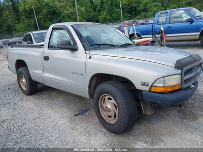 DODGE DAKOTA 2000