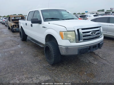 FORD F-150 2009