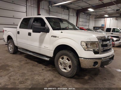 FORD F-150 2014