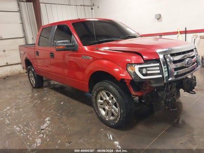 FORD F-150 2010