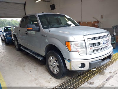 FORD F-150 2013
