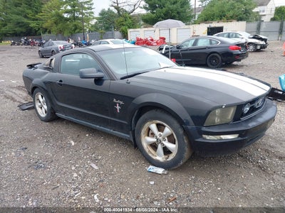MUSTANG MUSTANG 2008