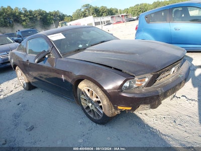 MUSTANG MUSTANG 2012