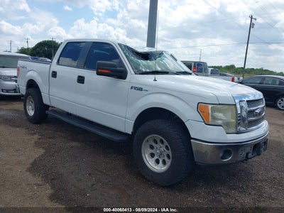 FORD F-150 2013
