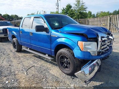 FORD F-150 2009