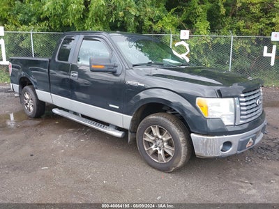 FORD F-150 2019