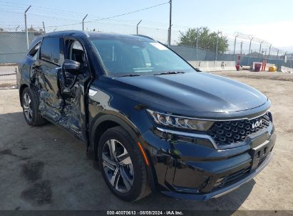 Kia Sorento Hybrid 2024