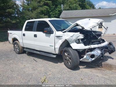 FORD F-150 2013