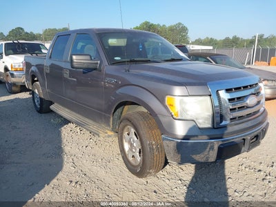 FORD F-150 2009
