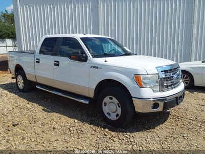 FORD F-150 2014