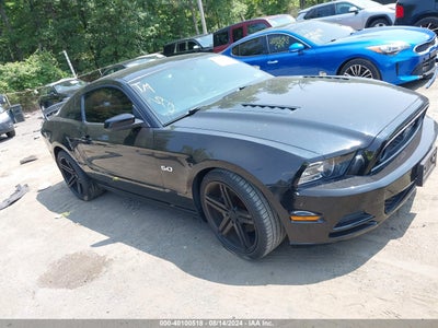 FORD MUSTANG 2014