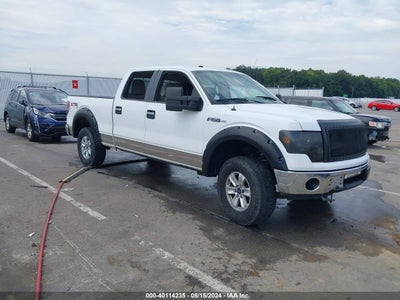 FORD F-150 2010