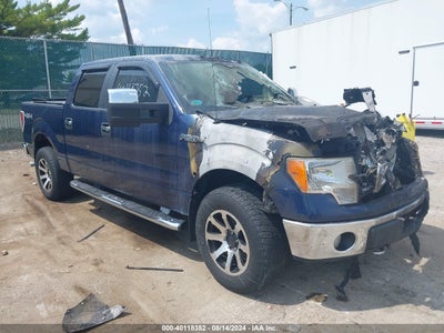FORD F-150 2009