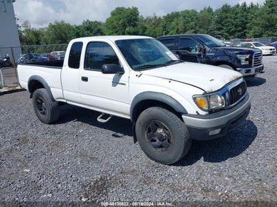TOYOTA TACOMA 2001