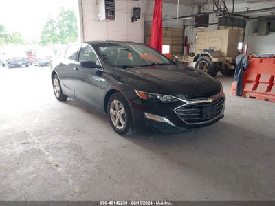 CHEVROLET MALIBU 2019