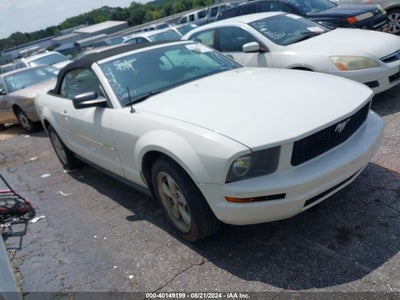 MUSTANG MUSTANG 2007