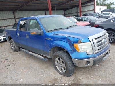 FORD F-150 2009
