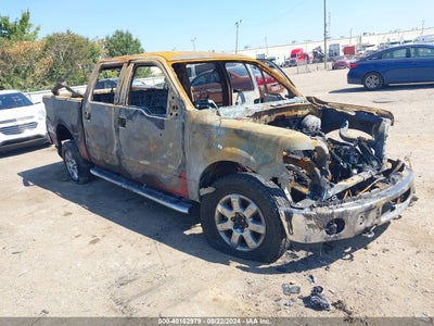 FORD F-150 2013