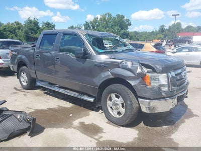 FORD F-150 2010