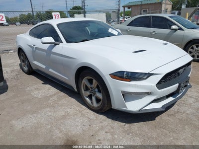 MUSTANG MUSTANG 2018