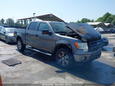 FORD F-150 2010