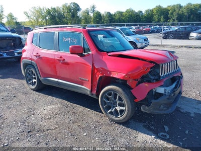 RENEGADE RENEGADE 2015