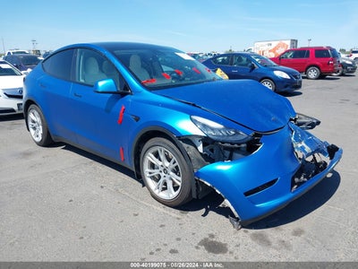 TESLA MODEL Y 2021