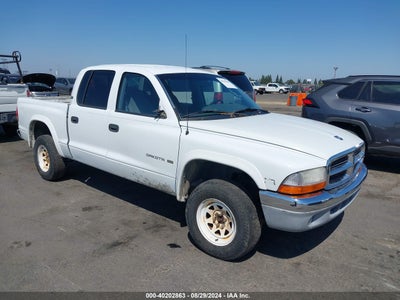 DODGE DAKOTA 2000