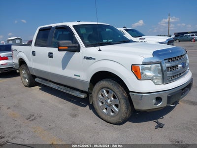 FORD F-150 2013