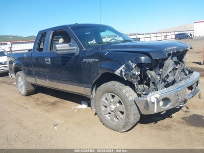 FORD F-150 2010
