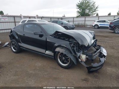 MUSTANG MUSTANG 2007