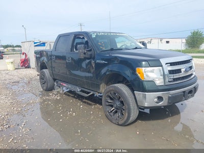 FORD F-150 2013