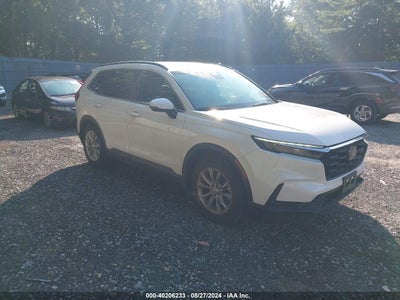 HONDA CR-V 2024