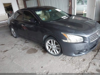 NISSAN MAXIMA 2010