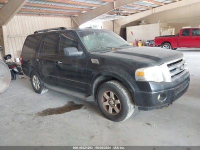 FORD EXPEDITION 2010