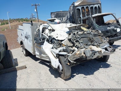 FORD F-550 CHASSIS 2020