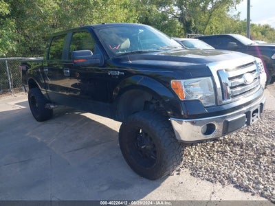 FORD F-150 2009
