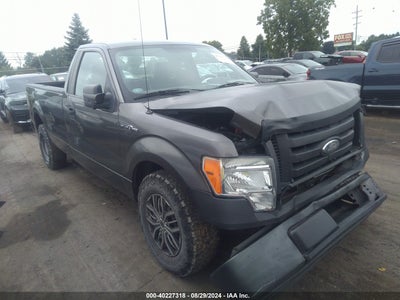 FORD F-150 2009