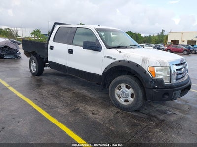 FORD F-150 2010