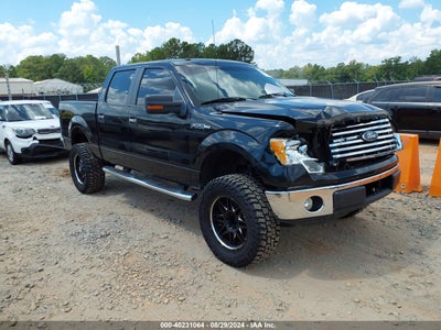 FORD F-150 2010