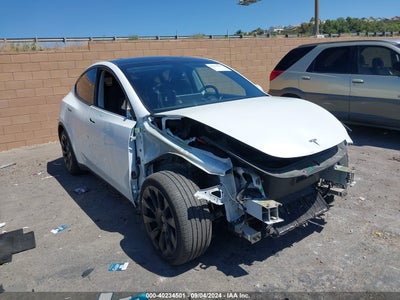 TESLA MODEL Y 2021