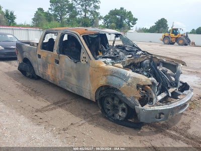 FORD F-150 2013
