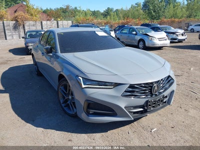 Acura Tlx 2024