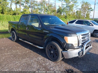 FORD F-150 2010